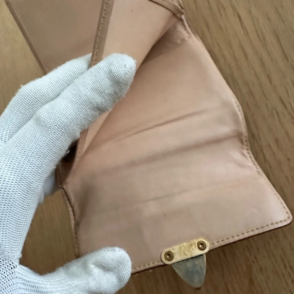Louis Vuitton Multicolor Kaola Wallet